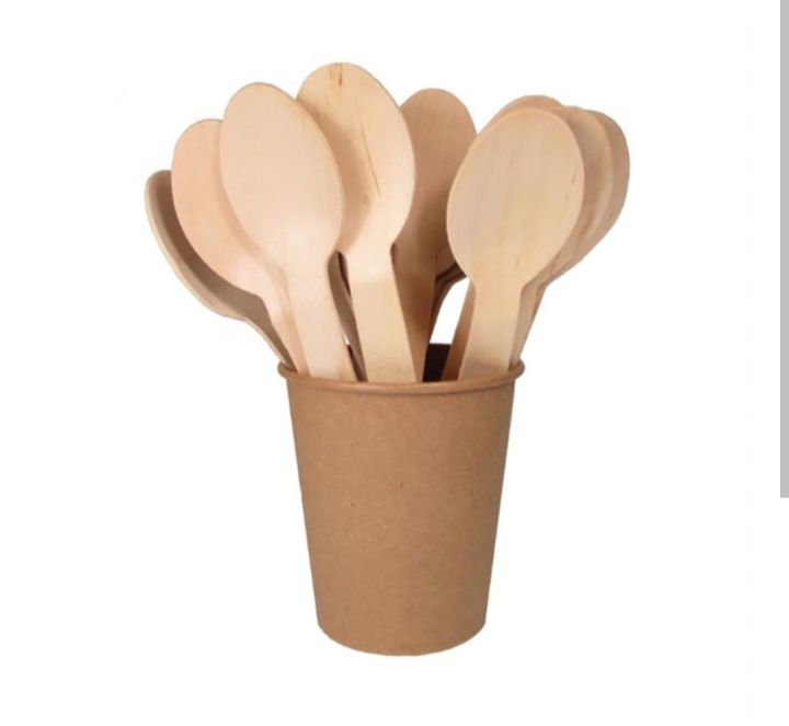 Disposable%20Bamboo%20Spoon%20100%20pcs%20-%20Image%202