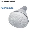 Bath Shower Plastic Head.. 