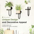 Sturdy Iron Wall Mounted Plant Holder Space Saving Wall Art Metal Flower Shelf Black Bonsai Hanging Hanging Plant Stand. 