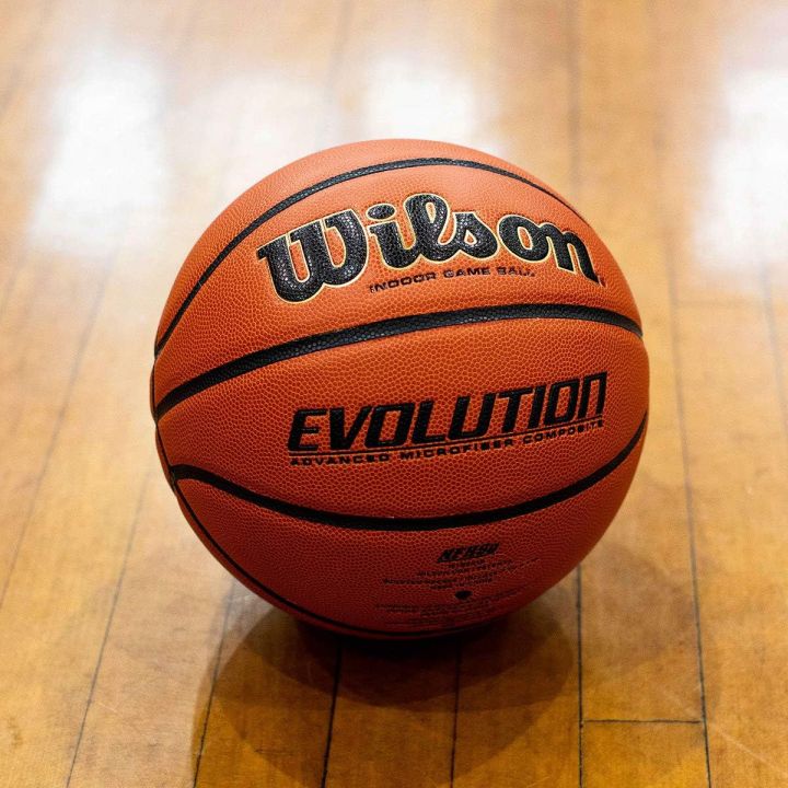 WILSON Evolution Game Basketball