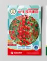 Cherry Tomato. 