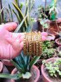 Very Beautiful Bangles One Carrat Gold Bangles set Chori jewellery for Girls😊Low Stock

I. 