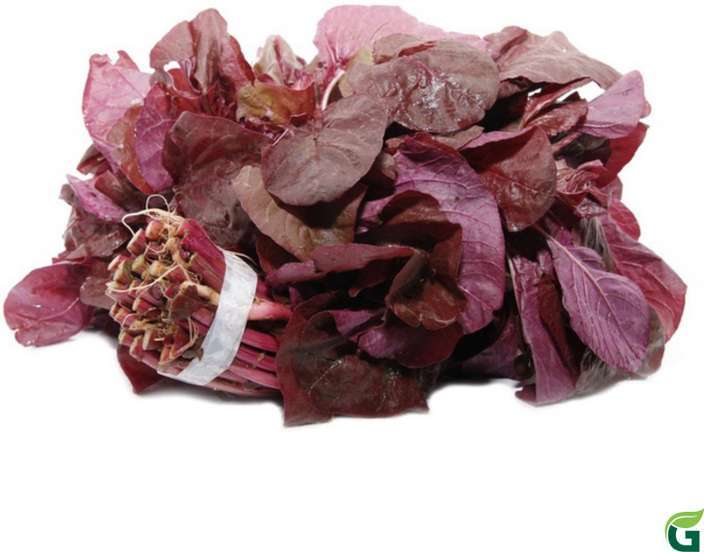 Lal%20Shak%20Red%20amaranth/%20%E0%A6%B2%E0%A6%BE%E0%A6%B2-%E0%A6%B6%E0%A6%BE%E0%A6%95%20%20/-20gm%20seeds%20Intact%20packet%20-%20Image%206