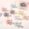 3 pc trending Frosted Butterfly clip Girls Women hair catcher. 