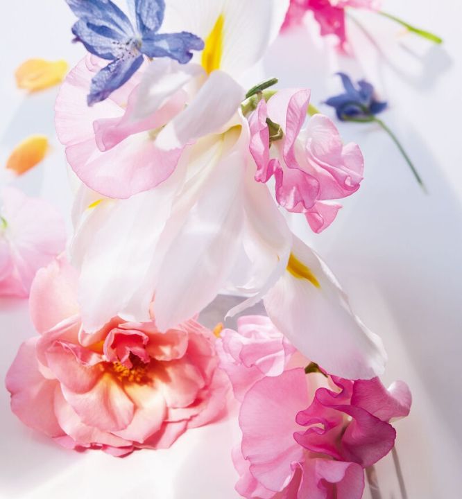 Miss%20Dior%20Eau%20De%20Parfum%20For%20Women%20By%20Christian%20Dior%20Imported%20From%20France%20100ml%20-%20Image%205