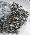 10 g Natural Crushed mini abalone shells Mother of pearl shell for resin art. 