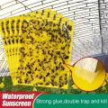 20pcs Strong Fruit Fly Traps Bugs Yellow Sticky Board Pest Control Insect Killer Two-sided Glue Paper Trap For Kill Pests. 