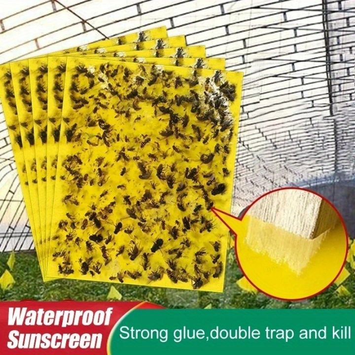 20pcs Strong Fruit Fly Traps Bugs Yellow Sticky Board Pest Control Insect Killer Two-sided Glue Paper Trap For Kill Pests