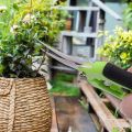 1 Set, Garden Scissors, Garden Pruning Shears, Non-slip Labor-saving Flower Branch Branch Shears, Fruit And Vegetable Shears, Fr. 