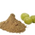 Organic Dry Amla Powder 100gm(premium quality of A&AA store). 