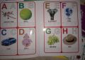 Wipe & Clean Writing | 4-Book Set Capital, Small, Counting & Urdu alphabet | With marker. 