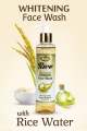 Kojic Rice Daily Face Wash | Rice Water Extracts. 