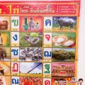 Thai alphabet poster Thai chicken Thai brothers (orange). 