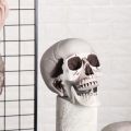All Size Plastic Human Skull Head Skeleton Halloween Style Photo Prop Cranium Haunted House Statue Party Decor Game Supplies. 