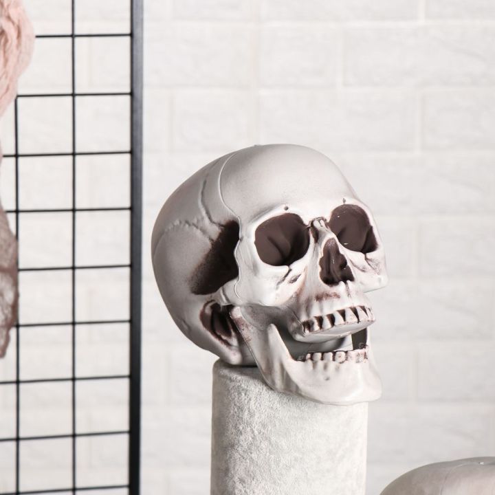 All%20Size%20Plastic%20Human%20Skull%20Head%20Skeleton%20Halloween%20Style%20Photo%20Prop%20Cranium%20Haunted%20House%20Statue%20Party%20Decor%20Game%20Supplies%20-%20Image%205