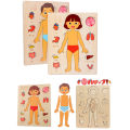 Montessori Puzzles Busy Board Human Body Teaching Learning Body Parts For Children Early Education Games Toddlers Quiet Books. 