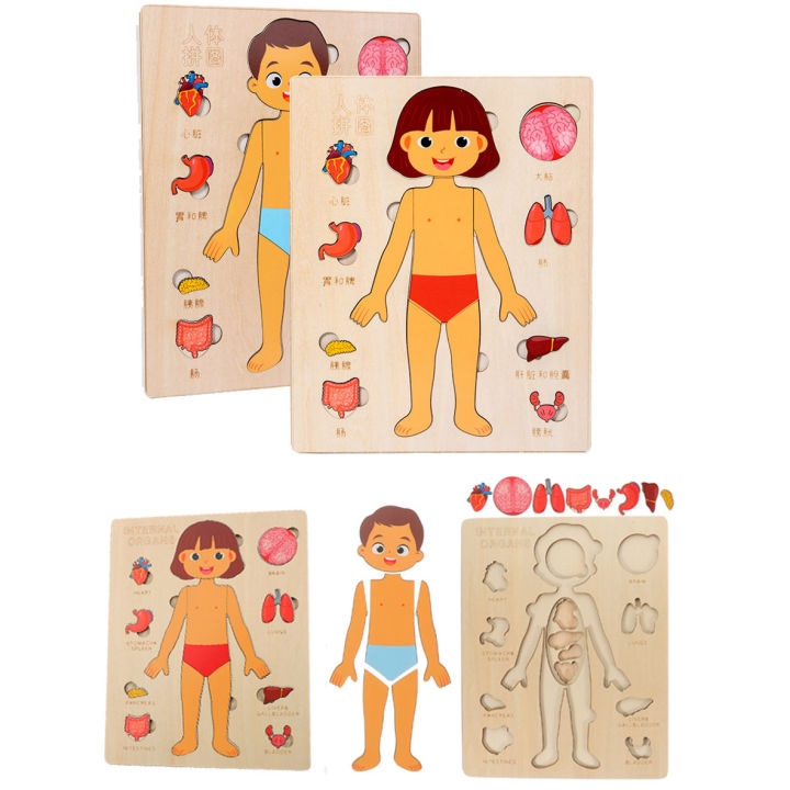 Montessori%20Puzzles%20Busy%20Board%20Human%20Body%20Teaching%20Learning%20Body%20Parts%20For%20Children%20Early%20Education%20Games%20Toddlers%20Quiet%20Books%20-%20Image%203