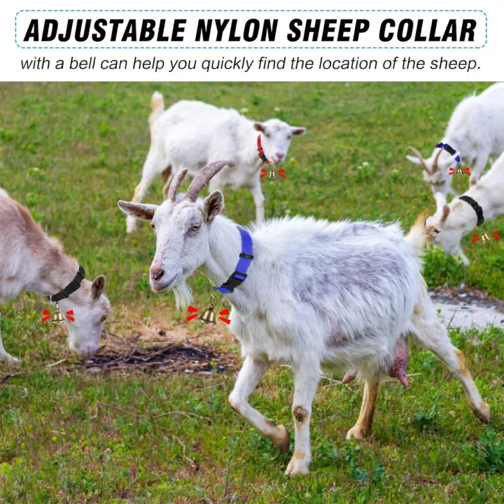 1pc%20Goat%20Collars%20with%20Bells%20Horse%20Sheep%20Grazing%20Bells%20Adjustable%20Collar%20Pet%20Anti-Lost%20Loud%20Bell%20for%20Small%20Farm%20Animal%20Sheeps%20Cow%20-%20Image%202