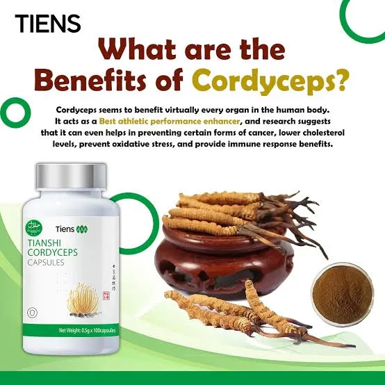 Tiens%20Cordyceps100%20capsules%20Tiens%20Cordyceps%20100%20capsules%20-%20Image%204