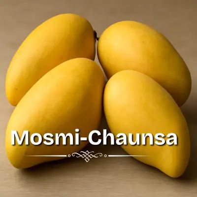100%25%20High%20Quality%20Mausami%20Chaunsa%20Mango%20-%20100%25%20Export%20Quality,%20Premium,%20Fresh%20from%20Farm,%20Directly%20Picked,%20No%20Damage,%20No%20Fault,%20Juicy,%20Sweet,%20Delicious,%20100%25%20Natural,%20Best%20for%20Health%20-%20Image%203