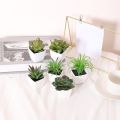 6PCS Home Decoration, Mini Evergreen Artificial Succulent Small Potted Plants. 