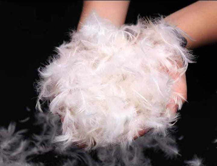 Duck%20Feather%20&%20Down%20Pillow%20100%25%20Pure%20With%20Life%20Time%20Warranty%20-%20Image%207