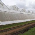 White mosquito net, white mosquito net, insect net, greenhouse netting, nylon mosquito net with UV 24 eyes, 3x5 meters. 