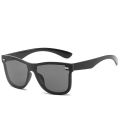 Full Black Ray-Ben Sunglasses. 