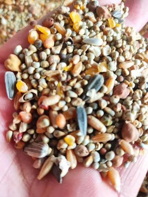 Hamster%20food%20/%20hamsters%20feed%20mix%20grain%201-kg%20-%20Image%202