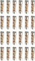 13Amp Fuse (12pic). 