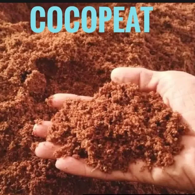 Cocopeat%20Fertilizer%20for%20plants-----%20%20%201%20kg%20%20----%20-%20Image%202