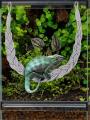 Hermit Crab Climbing Jute Rope Ladder Reptile Tank Terrarium Accessories Lizard Gecko Climbing Jute Rope Ladder Hermit Crab Toys. 