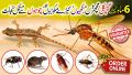 LMBDA Mosquito Killer Spray for 6 Months - Flays, Insect, Lizard & Pest Control Spray. 