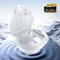 Haylou Mori Pro ANC True Wireless Earbuds| 3 Months warranty by TRONZZ.