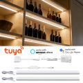 Intelligence Tuya WiFi LED Lights Bar for Multi-Level Storage Cabinet Soundproof Panel Lighting,12V Smart Voice APP Control Lamp. 