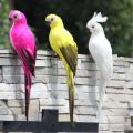 25/35cm Creative Handmade Simulation Parrot Animal Bird Garden Props Decoration Miniature Feather Lawn Doll Ornaments. 