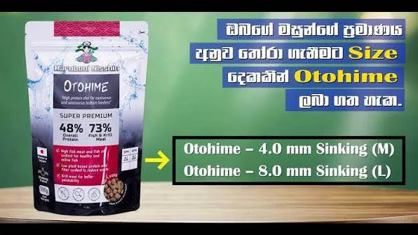 Marubeni%20Nisshin%20Fish%20Food%20Otohime%20EPF%20500g%20(High%20Protein)%20(Japanese%20Food)%20-%20Image%203