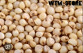 Jawar | Sorghum | Jowar Seeds
| 500 grams of Jawar | 
Sorghum Seeds | Organic Jowar Seeds | Organic Sorghum Seeds | Jowar Seeds | Heirloom Sorghum Seeds
| Non-GMO Jowar Seeds
| non-GMO Sorghum Seeds
|
Jowar Seed Packets |
Sorghum Seed Packets | جوار. 