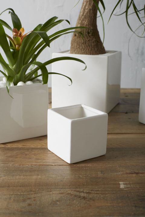 Mini%20Succulent%20Pot,%20White%20Ceramic%20Small%20Square%20Plant%20Pot,%20Cactus%20Planter%20Pot%C2%A0%20-%20Image%203