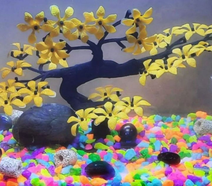 1%20Kg%20Colourful%20Stone%20for%20Plants%20or%20Aquarium%20decoration.%20-%20Image%203