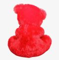 Cute Teddy bear Stuffed Toys. 
