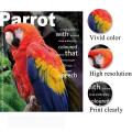 A4 200g 20 Sheets Photo Paper Glossy Wholesale Printer Photographic Paper for Inkjet Printer Photo Studio Paper Office Supplies.