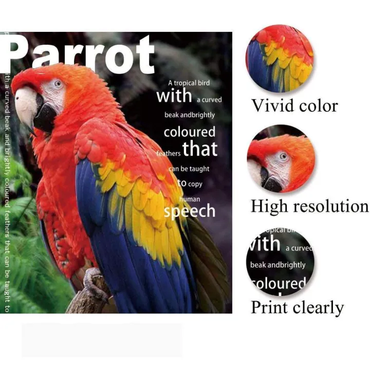 A4%20200g%2020%20Sheets%20Photo%20Paper%20Glossy%20Wholesale%20Printer%20Photographic%20Paper%20for%20Inkjet%20Printer%20Photo%20Studio%20Paper%20Office%20Supplies%20-%20Image%205