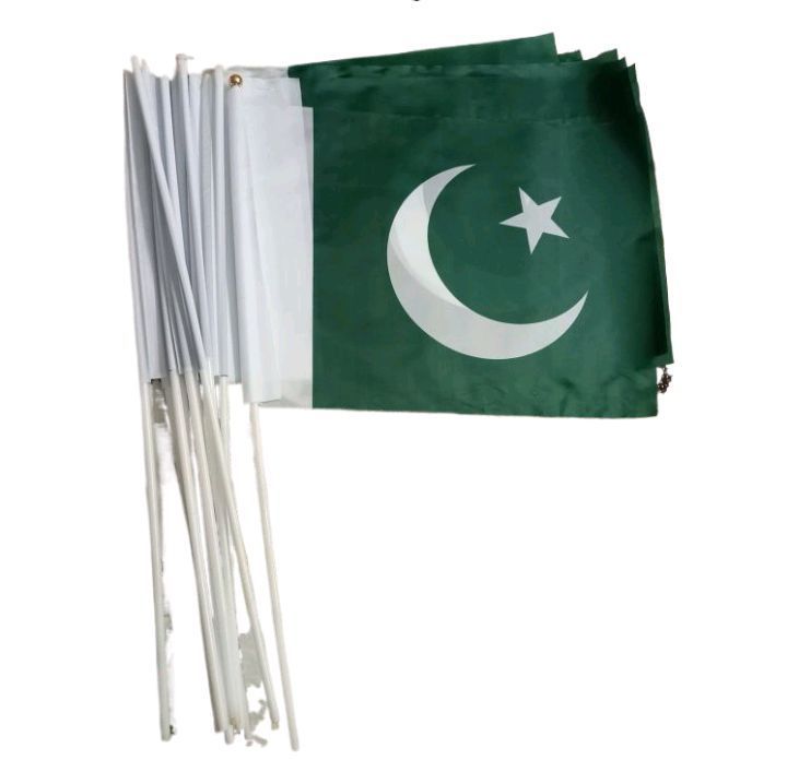 PAKISTAN FLAG WITH HAND FOR INDEPENDENCE DAY-12 PIECES