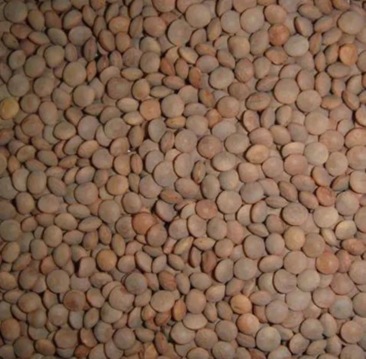 Natural%20&%20Pure%20Sabut%20Masoor%20Dal%20(Masur%20Ki%20Dal)%20%E2%80%93%20Unpolished%20Whole%20Skinned%20Lentils,%20Malka%20Dal%20(Saboot%20Masar%20Dal%20%7C%20Moshur%20Dal%20%7C%20Kali%20Masoor%20Dal,%20Rich%20in%20Protein,%20Promotes%20Health%20&%20Immunity,%20Chemical-Free%20Whole%20Moth%20Beans%20%E2%80%93%201kg%20-%20Image%202