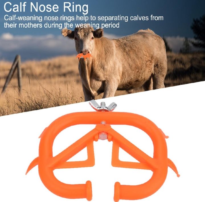 Calf Weaning Nose Ring- Sucking Preventer/ Milk Preventer For Cows & Calf's