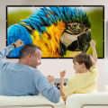 60 84 100 120 150 Inch Projector Screen Portable Projection Screen16:9,Outdoor Movie Screen For Travel Home Theater For HY300. 