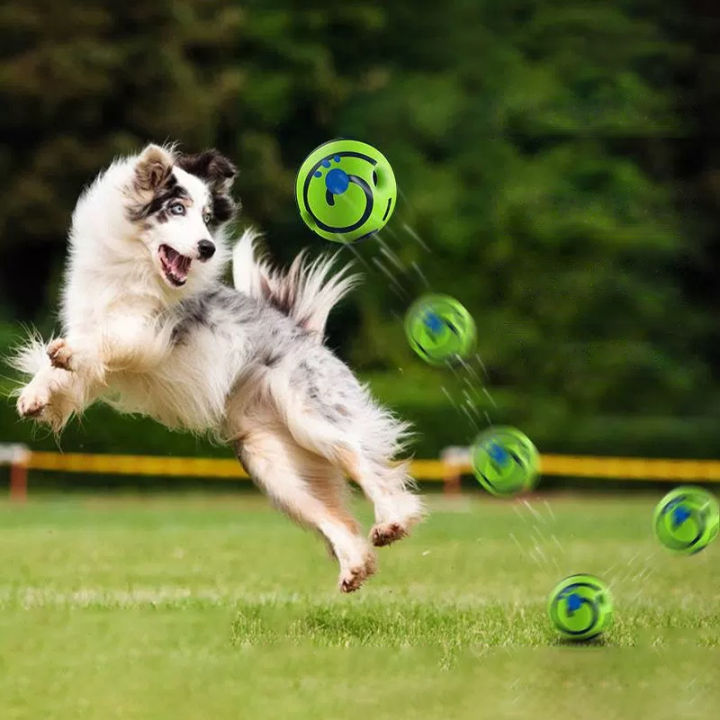 Dog%20Toy%20Wobble%20Wag%20Giggle%20Ball%20Getting%20Dog%20Attention%20Toy%20Fun%20Giggle%20Sounds%20When%20Rolled%20or%20Shaken%20Pets%20Know%20Best%20As%20Seen%20On%20TV%20-%20Image%205