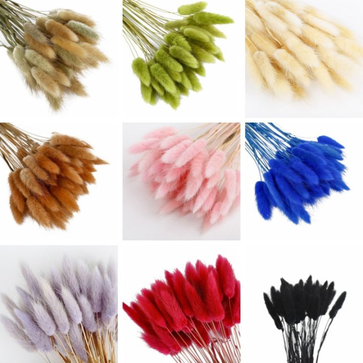 50pcs Artificial Plant Dried Flowers Rabbit Tail Grass Immortal Dried