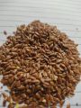 Flax seeds (Alsi seed) - 1000gm. 